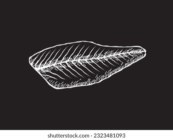 Vector illustration of a smoked salmon slice in black and white sketch style