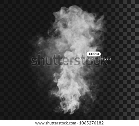 Vector illustration of smoky shape. Isolated transparent special effect.