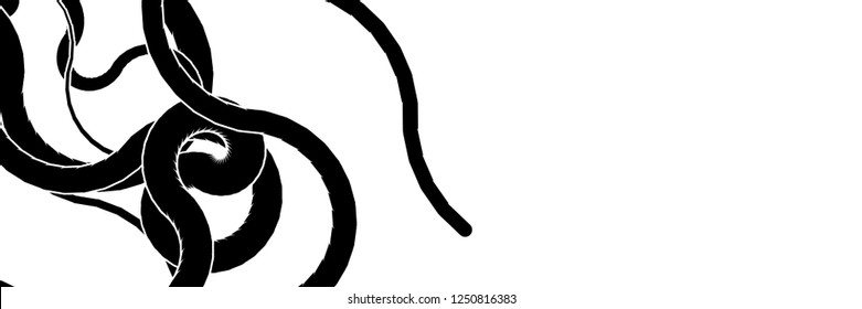 Vector illustration of a smoothly curved lines in random order on a white background. Pattern in greyscale tones. Abstract creative backdrop.