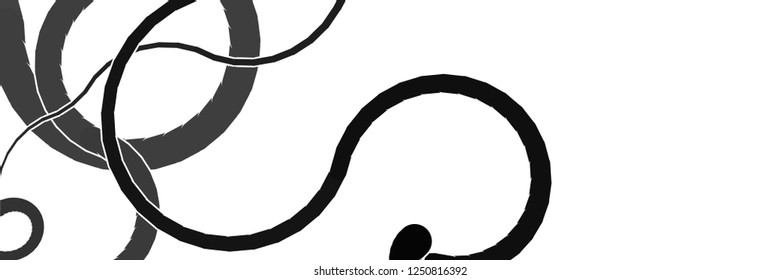 Vector illustration of a smoothly curved lines in random order on a white background. Pattern in greyscale tones. Abstract creative backdrop.