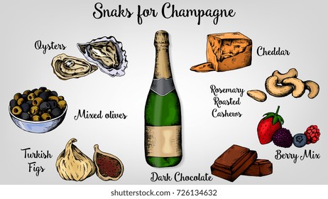 Vector Illustration of Snacks for Champagne Sketch Style