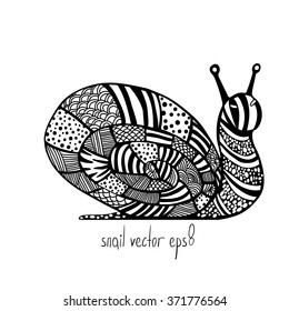 Vector Illustration of snail in doodling style