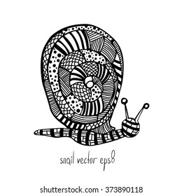 Vector Illustration of snail in doodling style