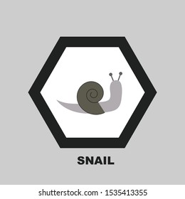Vector illustration. Snail icon in gray tones.