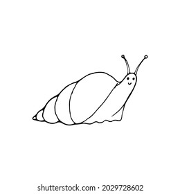Vector illustration. Snail isolated on white background.