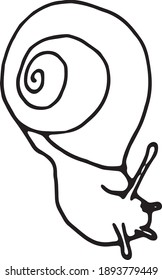 vector illustration of a snail. simple 