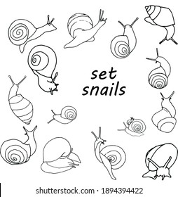 Vector illustration of snails. Cute, simple,doodle