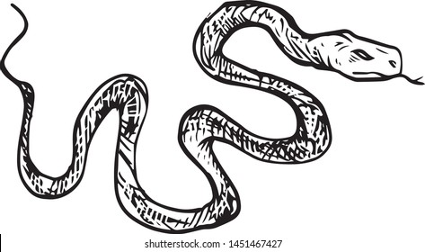 A vector illustration of a snake