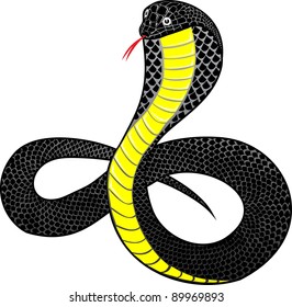 Vector illustration snake