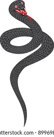 Vector illustration snake