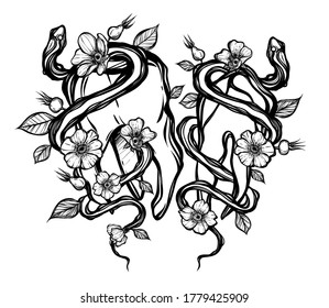 Vector illustration. Snake around the tooth, rose hips, print on t-shirt, line art style, tattoo, Handmade