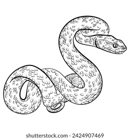 vector illustration of a snake, black outline on a white background, vector design elements for designers