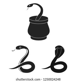 Vector illustration of snake  and cobra  sign. Set of snake  and tattoo stock symbol for web.