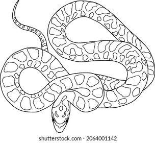 Vector Illustration Snake Coloring Book Children Stock Vector (Royalty ...