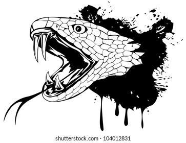 Vector Illustration Snake Head