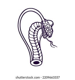 vector illustration of snake head concept
