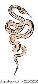 Vector illustration of a snake, icon, sketch of an artistic tattoo, logo, freehand drawing, snake outline drawing