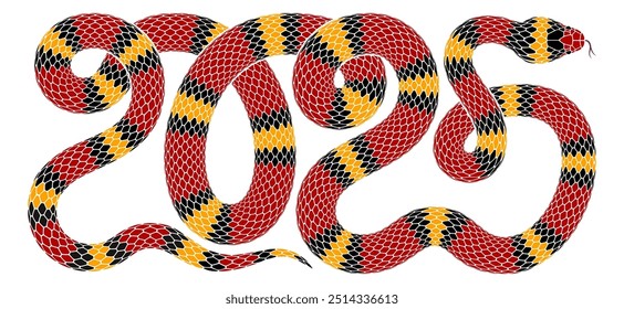 Vector illustration of snake intertwined in the shape of the number 2025. Isolated serpent silhouette design combined as numeric symbol for 2025 Chinese New Year celebration with snake zodiac sign.