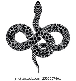 Vector illustration of snake intertwined in shape of infinity sign. Black serpent silhouette of endless symbol. Isolated tattoo design.