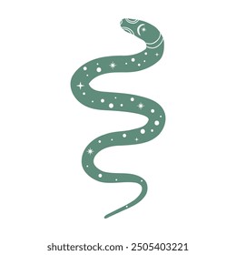 Vector illustration of a snake. Isolated on a white background.