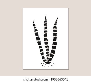 Vector illustration of snake plant. Sansevieria, mother-in-law's tongue plant. Black and white succulent vector illustration.