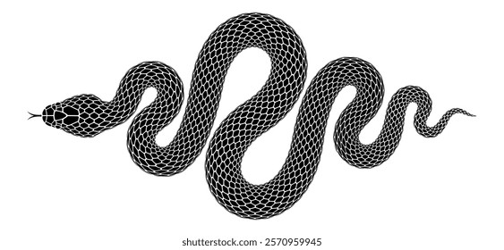 Vector illustration of snake wriggling in shape of rhombus. Tattoo design in form of black serpent diamond shaped silhouette isolated on white background.