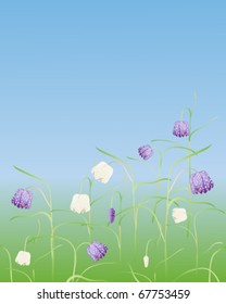 vector illustration of snakes head fritillary fritillaria meleagris plants flowering under a clear blue sky in springtime in eps10 format