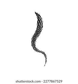  vector illustration of a snake's tail