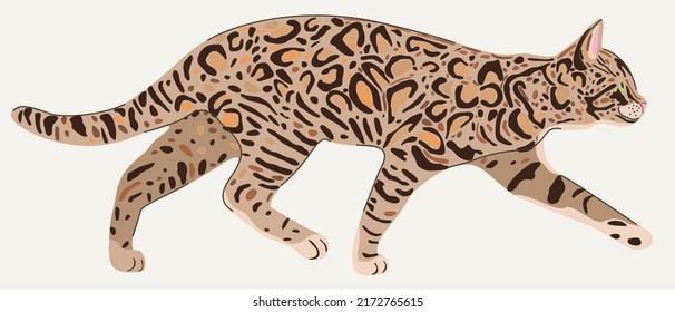 Vector illustration of sneaking bengal cat in profile isolated on light background.