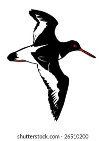 vector illustration of the snipe on white background