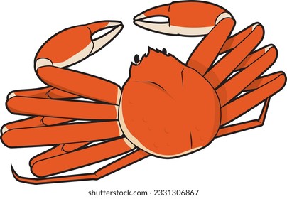 Vector illustration of snow crab