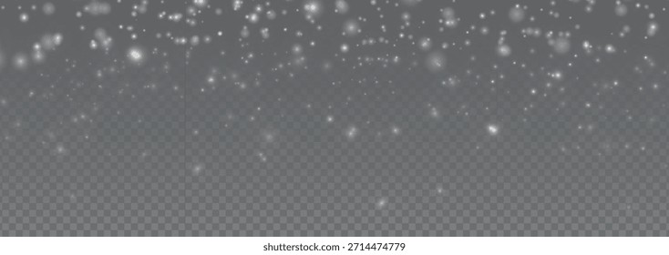 Vector illustration. Snow falling banner with snowflakes in different sizes on a transparent background.