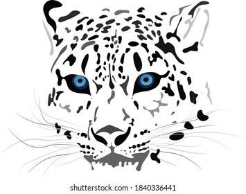 vector illustration of snow leopard bars irbis	