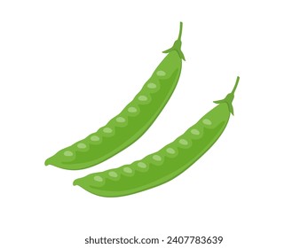 Vector illustration of snow peas