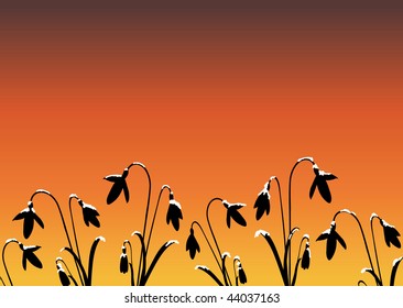 A vector illustration of snowdrop silhouettes against sunset with space for text