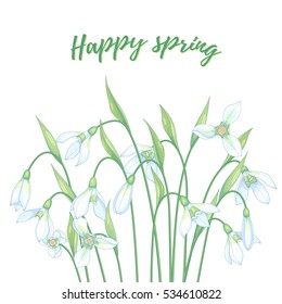 Vector illustration with snowdrops flowers, happy spring postcard template