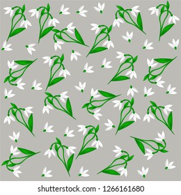 
vector illustration, snowdrops, spring flowers