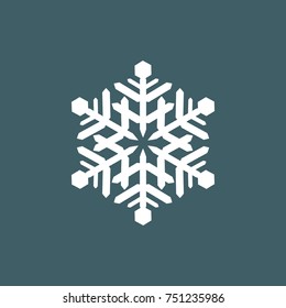 Vector illustration of snowflakes on a gray blue background. Graphic Icon for Web Sites.