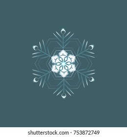 Vector illustration of snowflakes on a gray blue background. Graphic Icon for Web Sites.