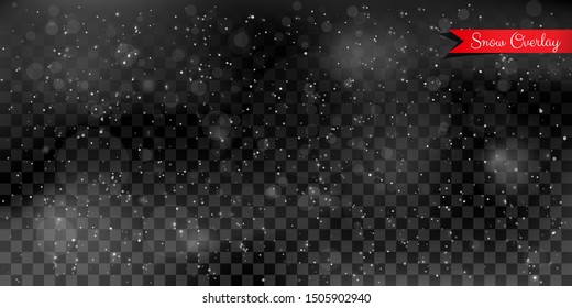 Vector illustration. Snowy overlay. Winter concept