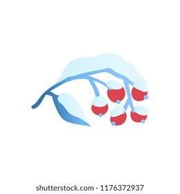 Vector illustration of snowy tree branch with red berries in flat style isolated on white background - winter natural decorative element covered with snow for seasonal floral design.