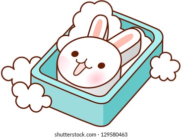 A vector illustration of soap