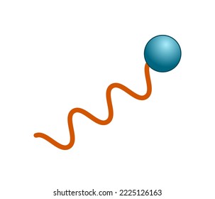 Vektorgrafik von Seifenmolekül. Stearinsäure (Seife)-Molekül auf weißem Hintergrund.