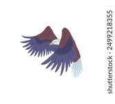 Vector illustration of a soaring bald eagle on an isolated white background. Majestic American Bald Eagle in flat cartoon style for various design projects.