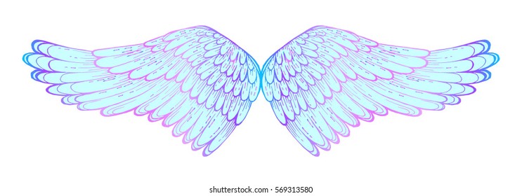 vector illustration of soaring wings, isolated, handmade ink, decorative element for design