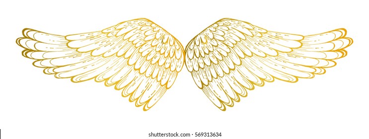 vector illustration of soaring wings, isolated, handmade ink, decorative element for design