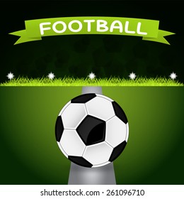 vector illustration of a soccer ball