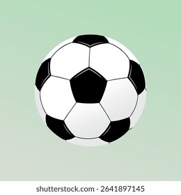 vector illustration of soccer ball