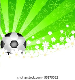 vector illustration of a soccer ball with flowers and sunrise