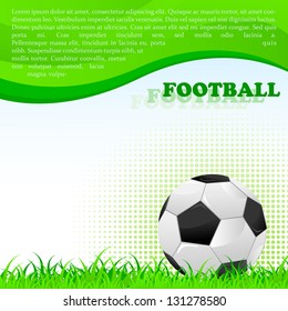 vector illustration of Soccer Ball on grass